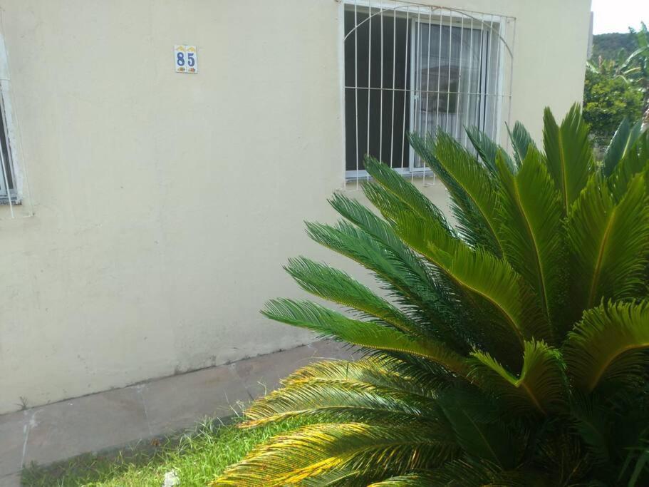 Casa Agradavel Em Camboriu Com Estacionamento No Patio Exterior photo